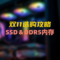 干货分享，双11固态硬盘和DDR5内存选购攻略，附：高性能＆高性价比产品推荐