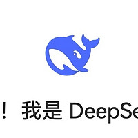 DeepSeek：AI领域的变革先锋