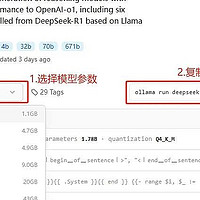 DeepSeek本地部署保姆级教程，0基础有手就会！