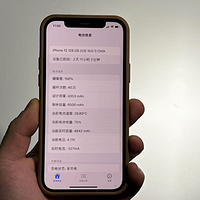 iOS 新神器，深度检测电池健康，钉子户还能再战3年！