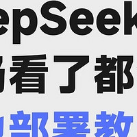  

 清华大学 DeepSeek 1-6 版手册全资料助力，进阶快人不止一步