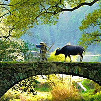 婺源春日错峰游：邂逅金黄油菜花海