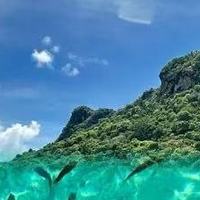 两岁宝宝吃DHA藻油别只问含量口感和胶囊质地也会影响能不能坚持