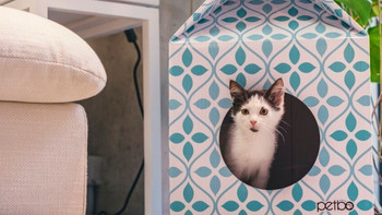 可装下猫咪的“牛奶盒”： Petbo  推出 新型猫窝