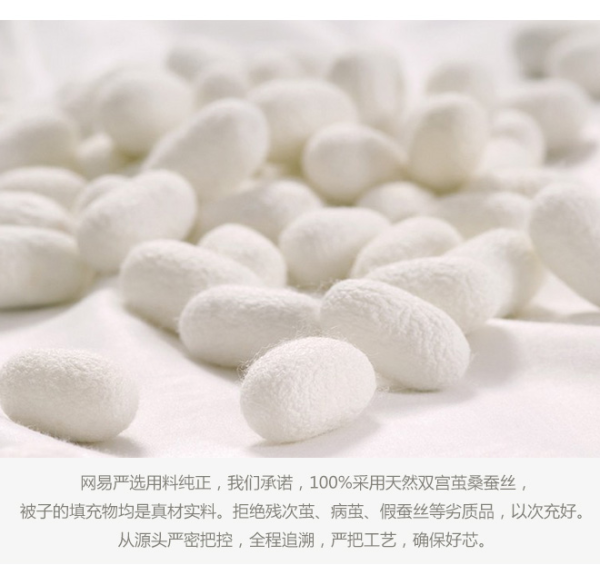 【抢先首发众测】网易严选 双宫茧桑蚕丝被+全棉可水洗抗菌防螨丝羽绒枕 套装