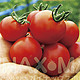 跨度有点大：EVA 制作公司GAINAX开始销售番茄