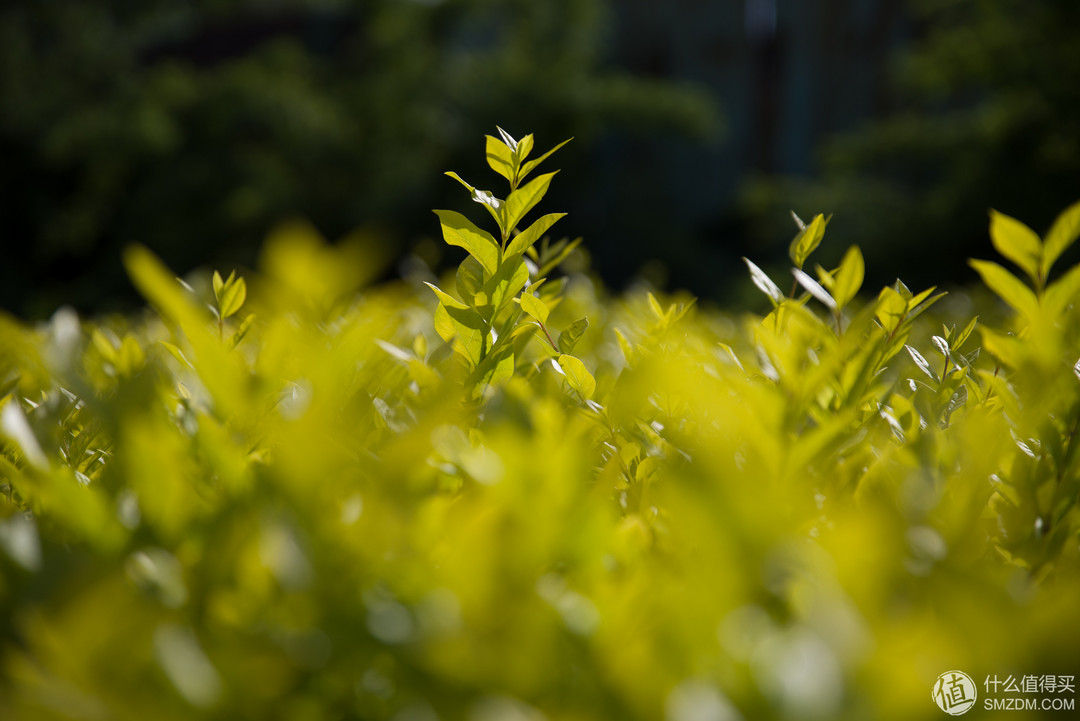 《到站秀》第51弹：“终圆全幅梦”PENTAX 宾得 K-1 单反相机