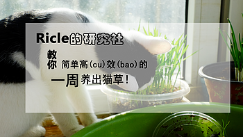 Ricle 的研究社 篇四：教你简单高(cu)效(bao)的一周养出猫草！ 