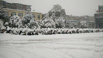 那童年的希望是一台时光机：下雪了，为熊孩子DIY粗糙雪橇车