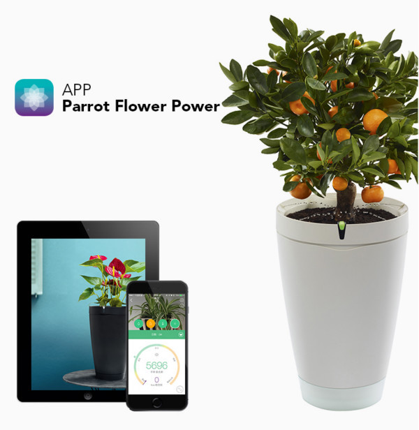 外出时的好助手：Parrot 派诺特 推出 Parrot Pot 自动浇水智能花盆