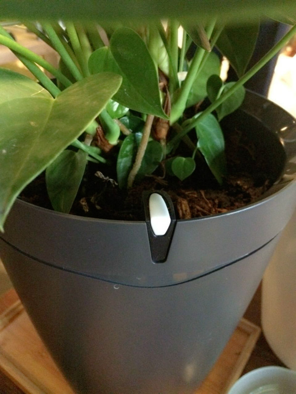 外出时的好助手：Parrot 派诺特 推出 Parrot Pot 自动浇水智能花盆