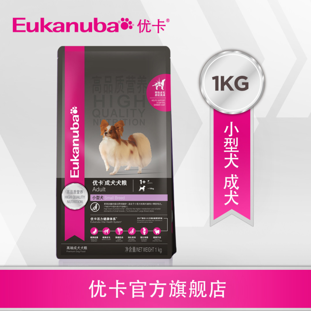 铲屎官的宠物用品 — 养狗必备基础物件推荐