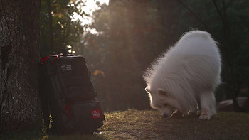 背上就起范儿——麦格霍斯猎鹰背包 Magforce Eagle backpack