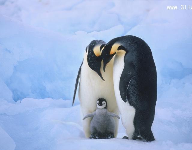 初生婴儿喂养篇（含吸奶器、奶瓶和防溢乳垫等用品的用后体验）