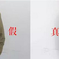 战术类服装购买攻略 篇一：一件连校长差点都上当的 ARC'TERYX 始祖鸟 Fusion jacket 棉服