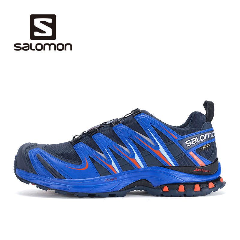 再入两双萨洛蒙 Salomon鞋子：XA PRO 3D GTX 和Kalalau
