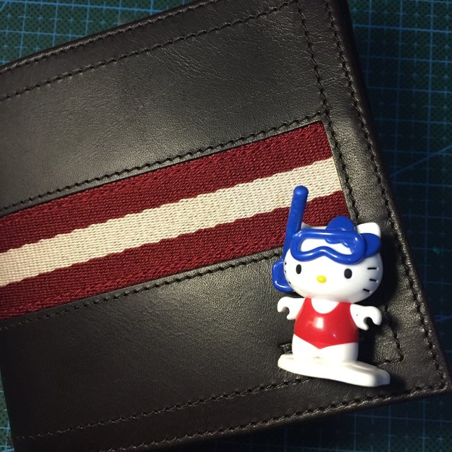 长个手不容易，该剁就剁：BALLY 男士两折钱包 开箱