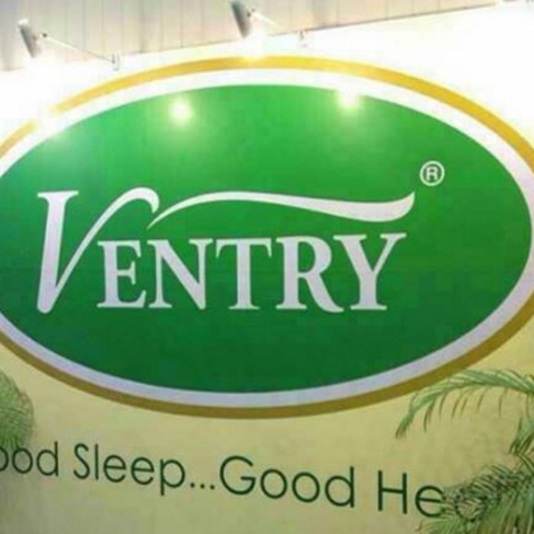 Ventry 乳胶枕 假货遭遇记