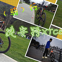 2017！1（一）7（起）7（骑）行：GIANT 捷安特 xtc800 山地自行车