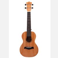 Ukulele乌克丽丽知识及选购指南 | 尤克里里什么