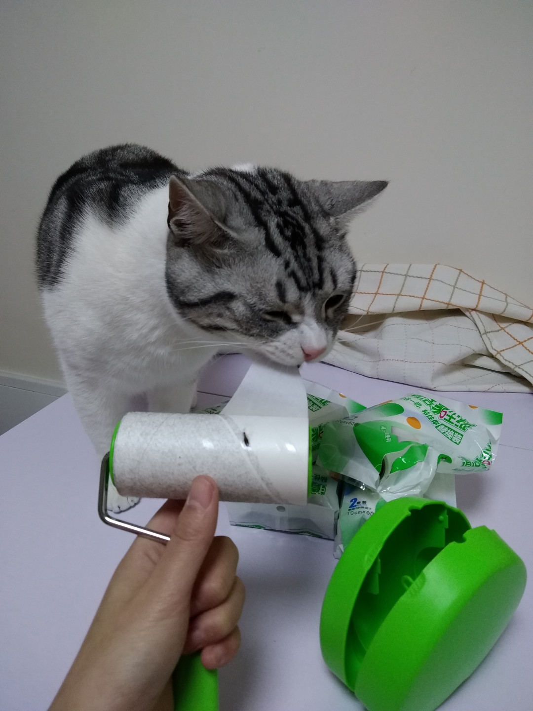 双猫家庭的好伴侣——TEK A8 无线手持吸尘器评测
