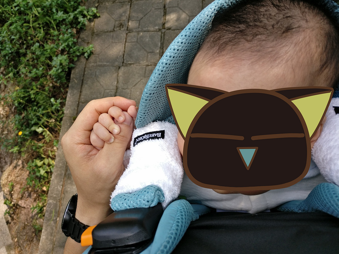 胖娃出行(babybjorn背带及nano和maclaren techno xt推车对比)