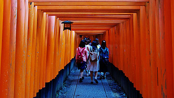 圆梦日本之旅——15天自由行 篇五：京都，那些你听过的和没听过的地方 