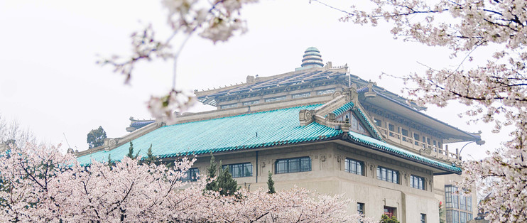 2017春花大赏 待到樱花浪漫时 花开花落两由知 武大 国内最值得去的赏樱胜地 国内旅游 什么值得买