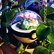 精灵宝可梦之家的奇妙幻想——妙蛙种子精灵球DIY