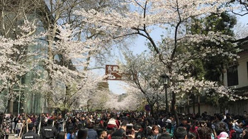 #2017春花大赏#鸡鸣寺赏花、玄武湖划水趣味之旅