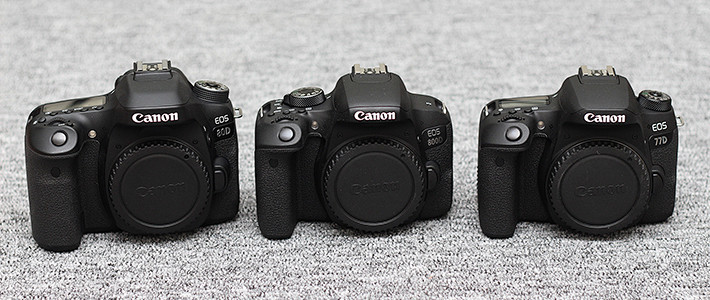 Canon 佳能单反选择攻略eos 800d Eos 77d Eos 80d篇 单反相机 什么值得买
