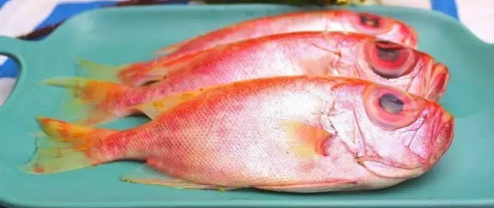 红烧大眼鲷鱼的做法大眼红鲷鱼怎么做好吃 什么值得买