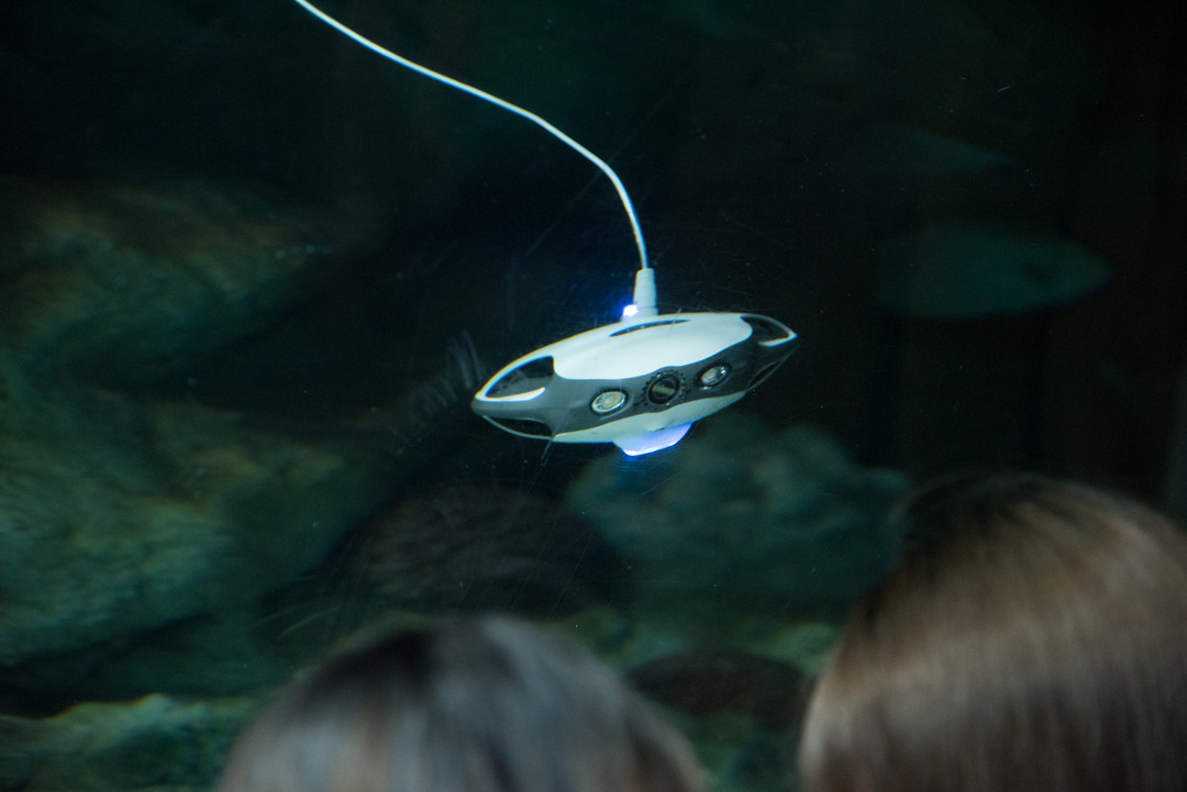 作弊级的钓鱼帮手：PowerVision 臻迪 发布 PowerRay 小海鳐 水下机器人