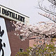 #原创新人#探访日本威士忌发源地——山崎蒸馏所（准备篇）