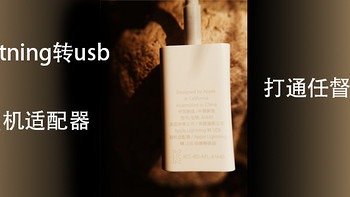 Lightning 转usb 相机适配器，打通任督二脉