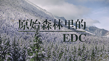 原始森林里的EDC
