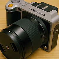 拿 HASSELBLAD 哈苏 X1D 中画幅无反相机 拍猫是一种什么样的体验