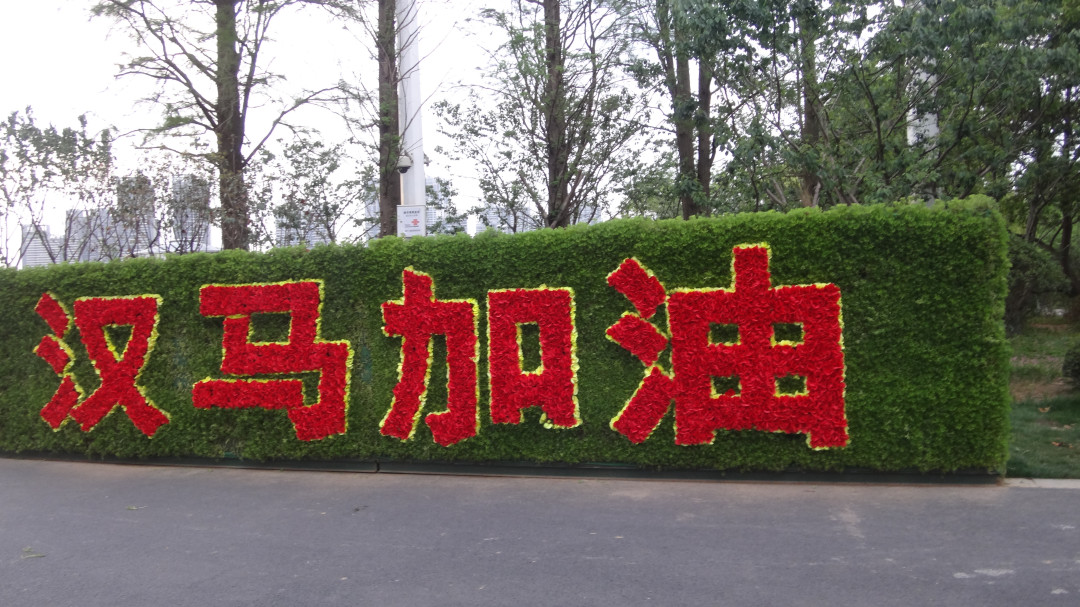 我在值得买写过的武汉——写在2020年春天