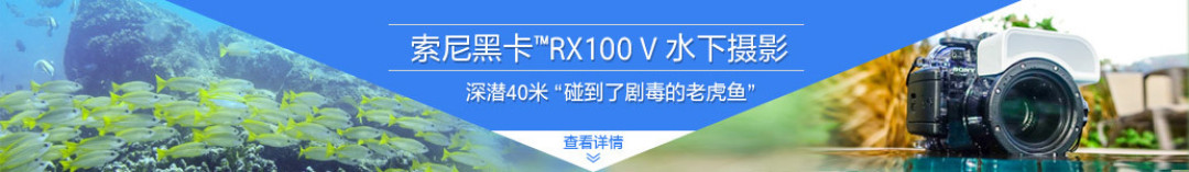 最下游价格构成 相机篇
