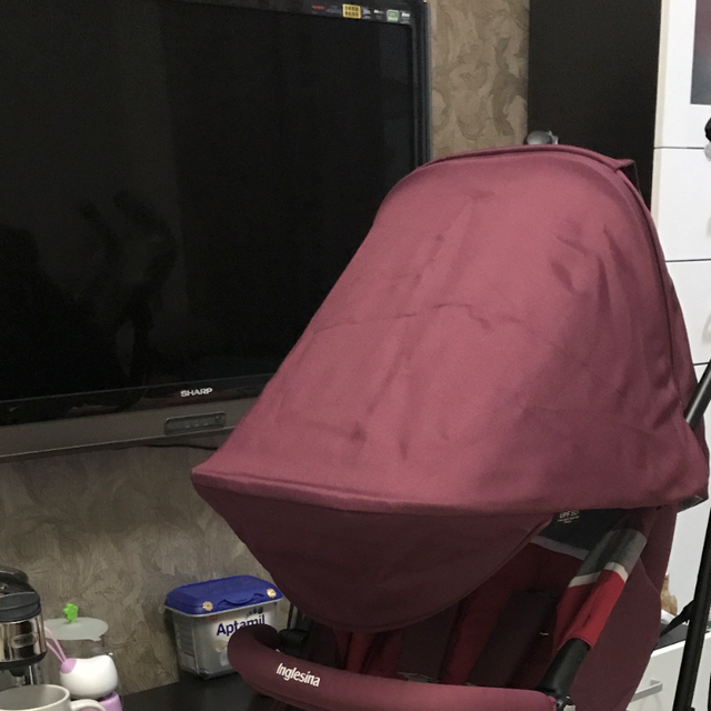 #原创新人# Inglesina 英吉利那 奇普2016新款 欧式婴儿手推伞车 开箱