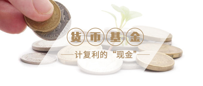 货币基金--计复利的现金