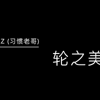 男人zhuan吧不是罪 篇十一：解读玩家眼中的指尖陀螺之美——《轮之美》