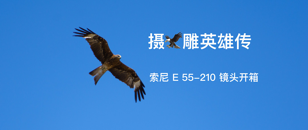 穷人三宝之 Canon 佳能 长焦55-250 stm 镜头化作一朵莲花