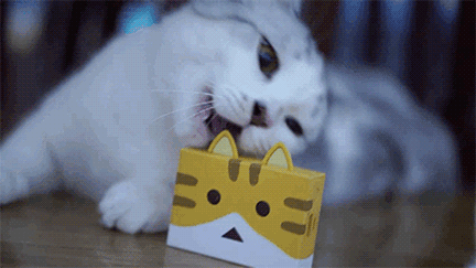 猫奴的充电宝—cheero茶虎喵到手开箱