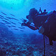 印尼美娜多PADI潜水(AOW，布纳肯海洋公园，含免签攻略+游记)
