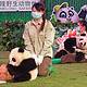 广州剁成立啦！长隆熊猫三胞胎生日Party线下活动记录