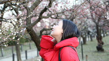 大阪进东京出，我与田老师的15日日本旅行记录 篇三：D3 希尔顿草莓下午茶、闪闪惹人爱的大阪城天守阁 