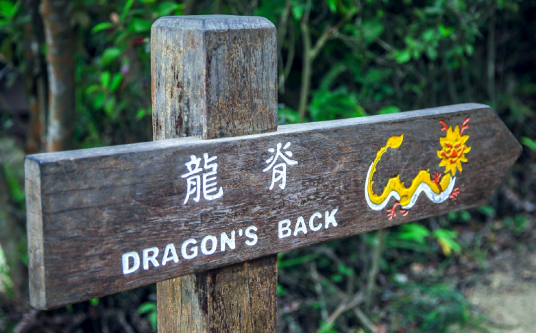 阅尽千山只为你 卫奕信径