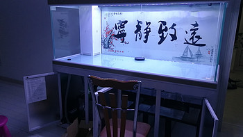 #原创新人# 从此门窗是路人之鱼缸+Meidea 美的 凡帝罗BCD-603冰箱入户 开箱