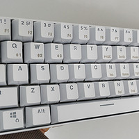 ROYAL KLUDGE RK61 双模61键机械键盘购买理由(红轴|贴牌)